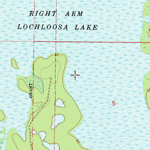 Topographic Map of Right Arm Lochloosa Lake, FL