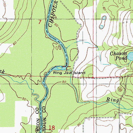 Topographic Map of Ring Jaw Island, FL