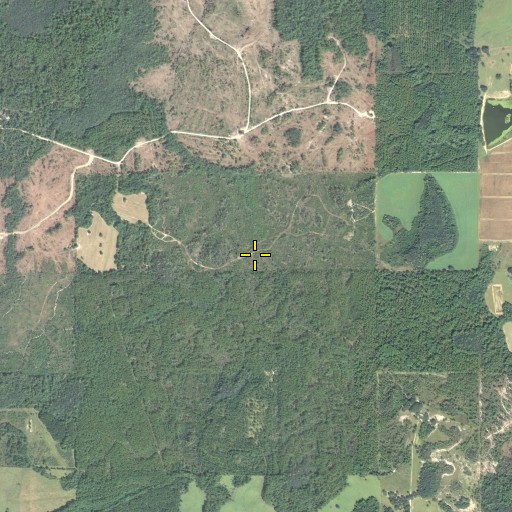 Aerial/Satellite Image of River Nines, FL