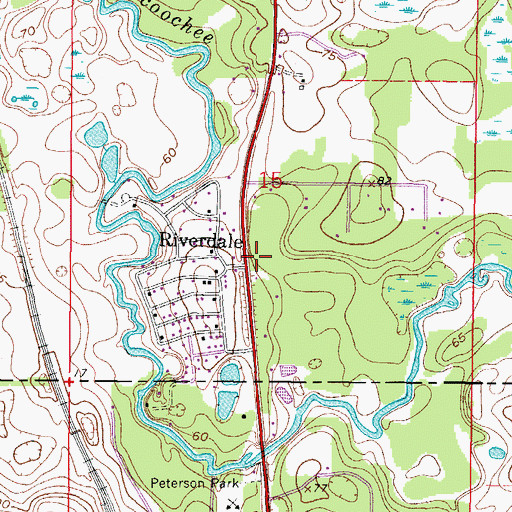 Topographic Map of Riverdale, FL