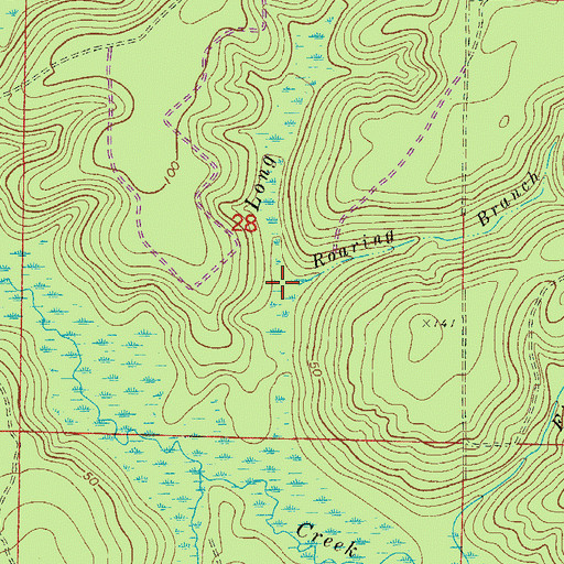 Topographic Map of Roaring Branch, FL
