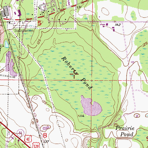 Topographic Map of Roberts Pond, FL