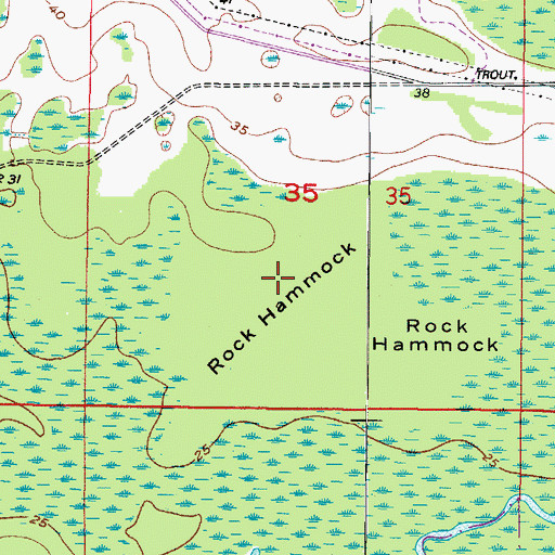 Topographic Map of Rock Hammock, FL