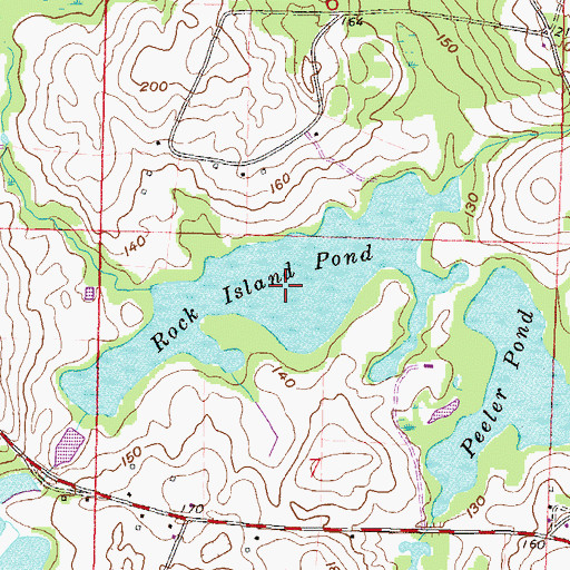 Topographic Map of Rock Island Pond, FL