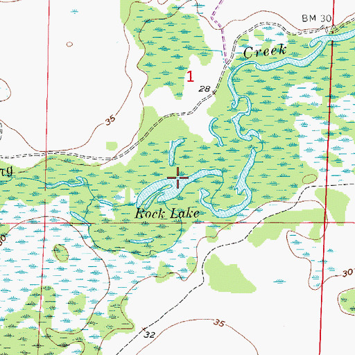 Topographic Map of Rock Lake, FL