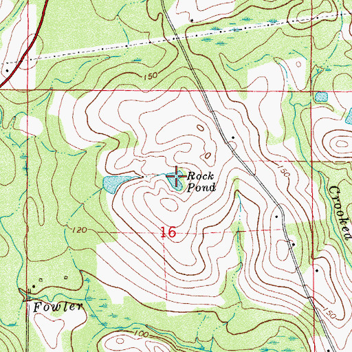 Topographic Map of Rock Pond, FL