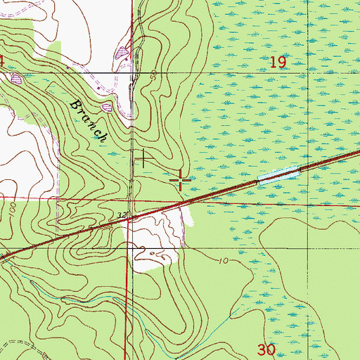 Topographic Map of Rocky Branch, FL