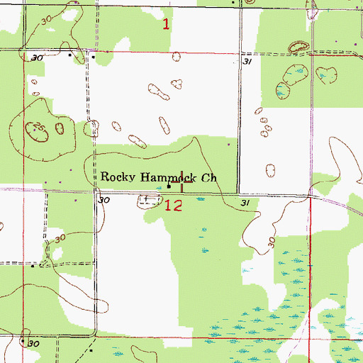 Topographic Map of Rocky Hammock Church, FL