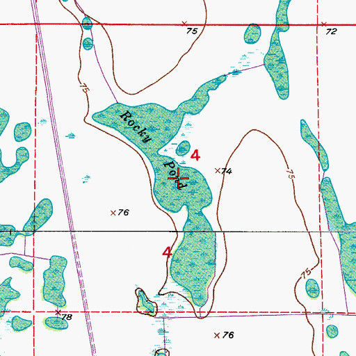 Topographic Map of Rocky Pond, FL