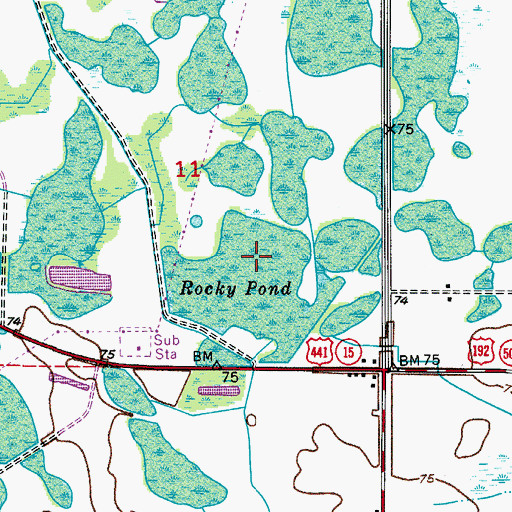Topographic Map of Rocky Pond, FL