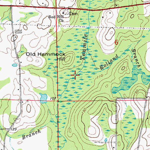 Topographic Map of Rolland Branch, FL