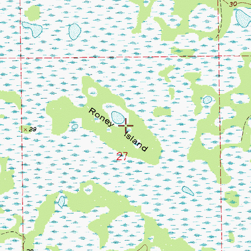 Topographic Map of Roney Island, FL