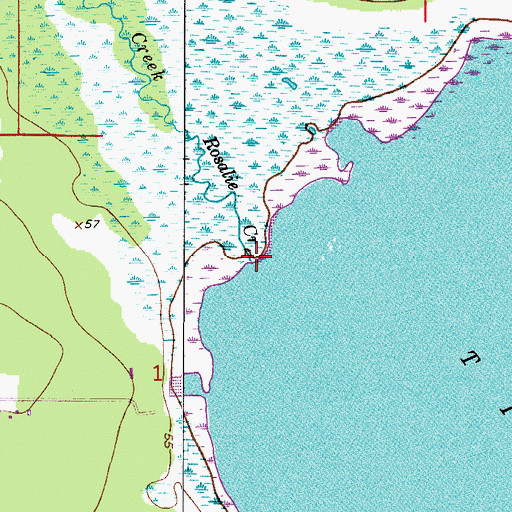 Topographic Map of Rosalie Creek, FL