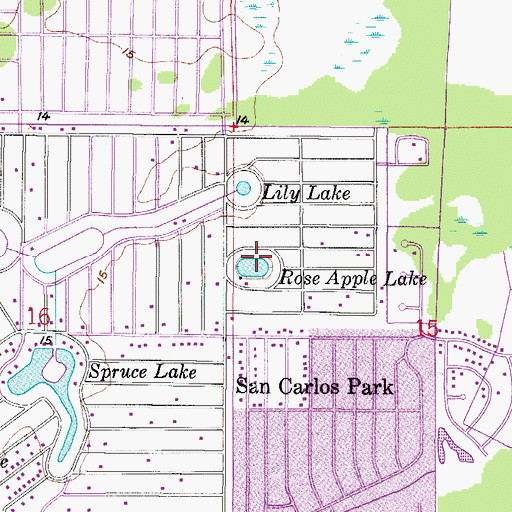 Topographic Map of Rose Apple Lake, FL