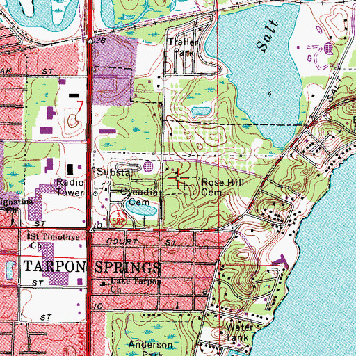 Topographic Map of Rose Hill Cemetery, FL