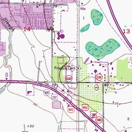 Topographic Map of Rosehill Cemetery, FL