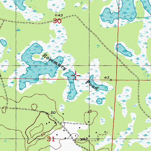 Topographic Map of Rosemary Pond, FL