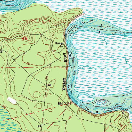 Topographic Map of Roses Bluff, FL