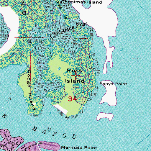 Topographic Map of Ross Island, FL