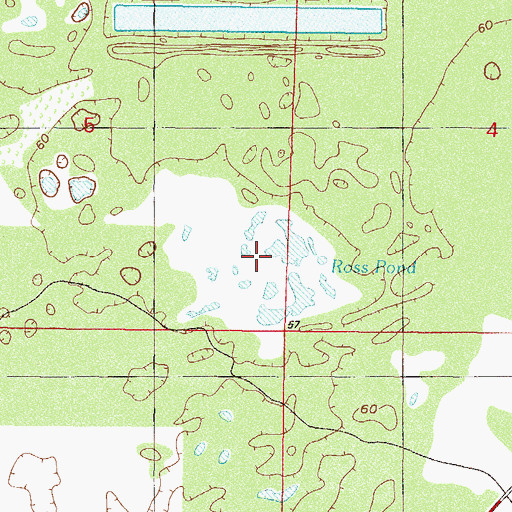 Topographic Map of Ross Pond, FL
