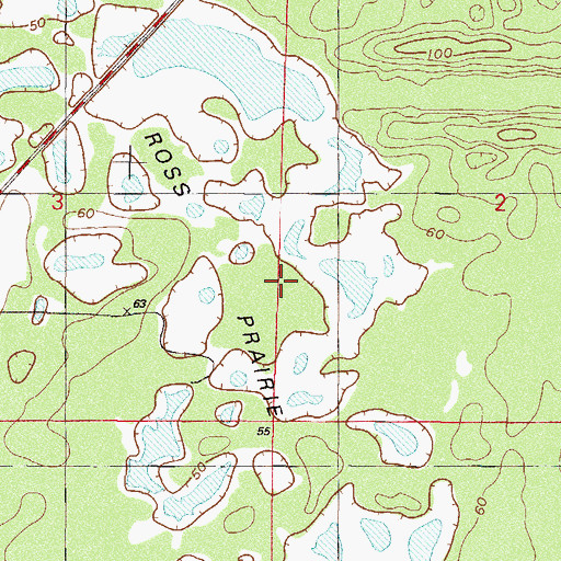 Topographic Map of Ross Prairie, FL