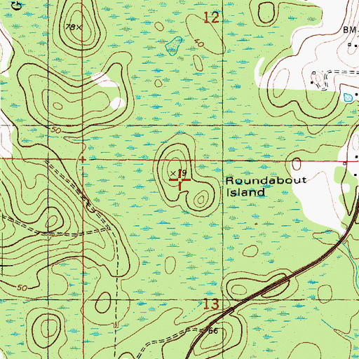 Topographic Map of Roundabout Island, FL