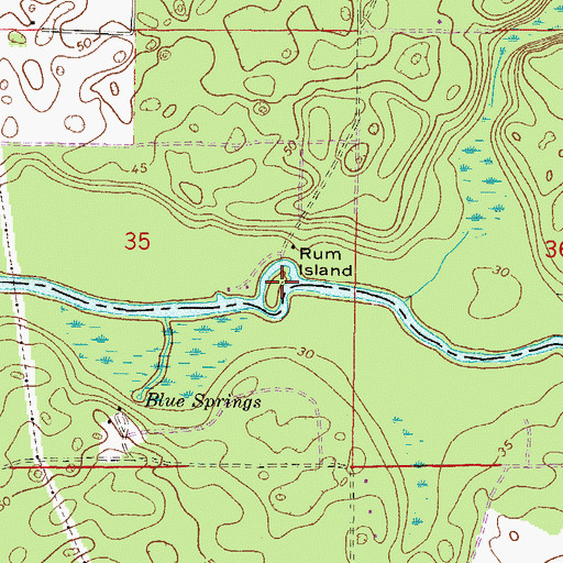 Topographic Map of Rum Island, FL