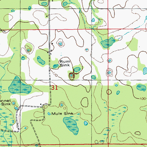 Topographic Map of Rum Sink, FL