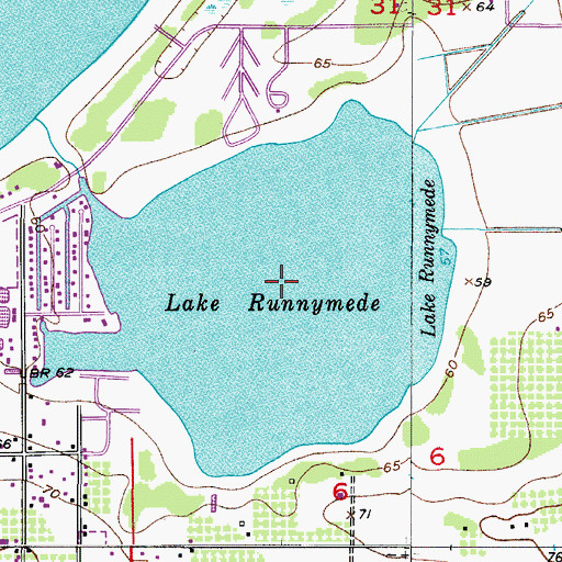 Topographic Map of Lake Runnymede, FL