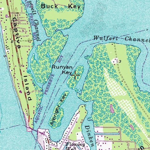 Topographic Map of Runyan Key, FL