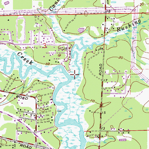 Topographic Map of Rushing Branch, FL