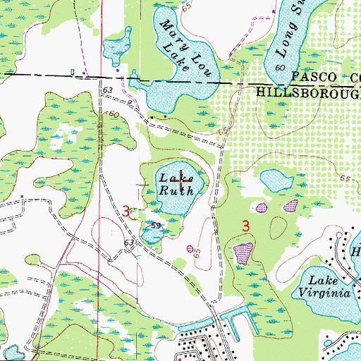 Topographic Map of Lake Ruth, FL
