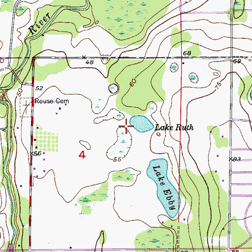 Topographic Map of Lake Ruth, FL