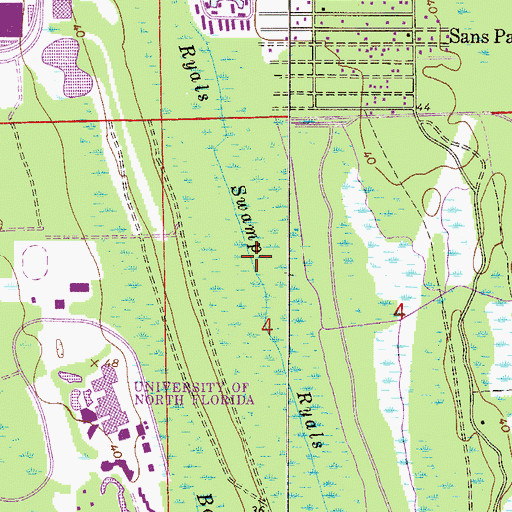 Topographic Map of Ryals Swamp, FL