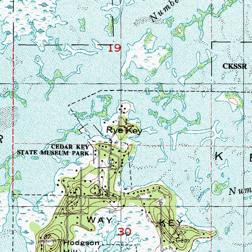 Topographic Map of Rye Key, FL
