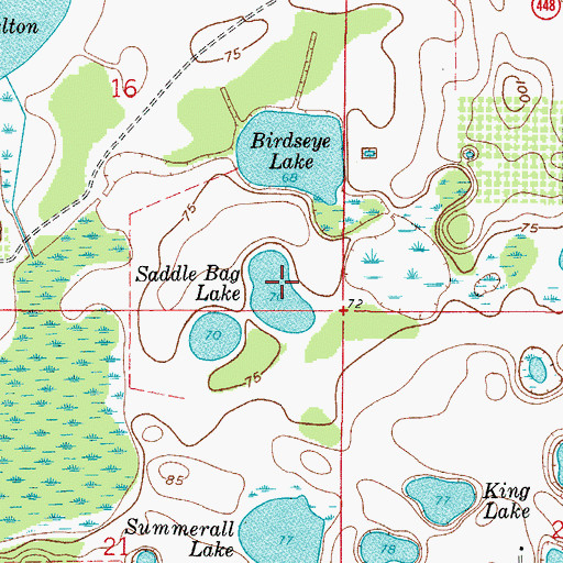 Topographic Map of Saddle Bag Lake, FL