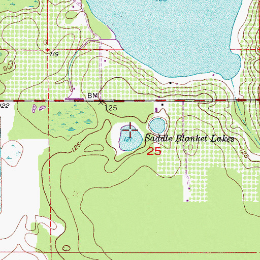 Topographic Map of Saddle Blanket Lakes, FL