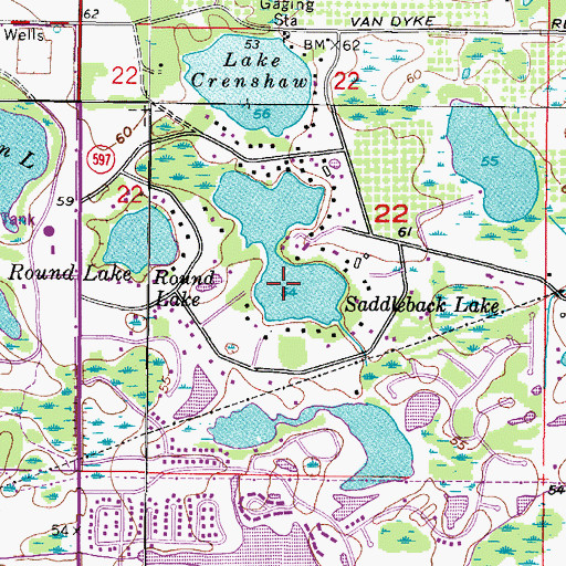 Topographic Map of Saddleback Lake, FL
