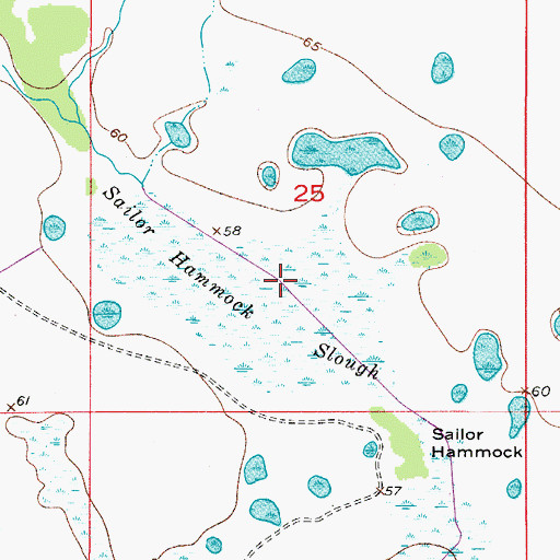 Topographic Map of Sailor Hammock Slough, FL