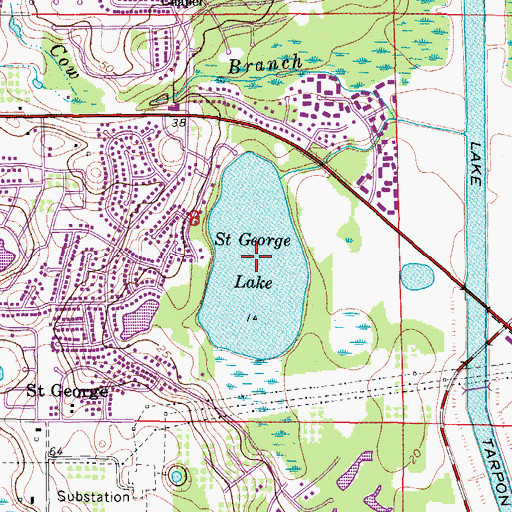 Topographic Map of Saint George Lake, FL
