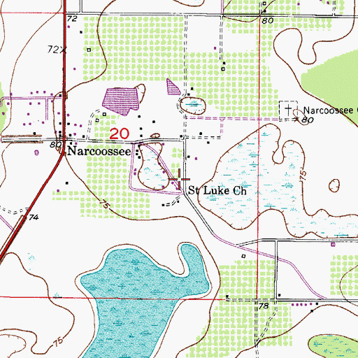 Topographic Map of Saint Luke Church, FL