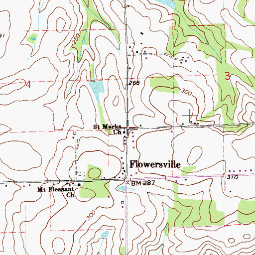 Topographic Map of Saint Marks Church, FL