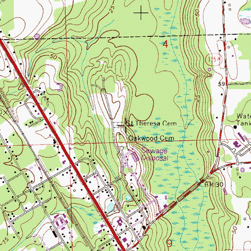 Topographic Map of Saint Theresa Cemetery, FL
