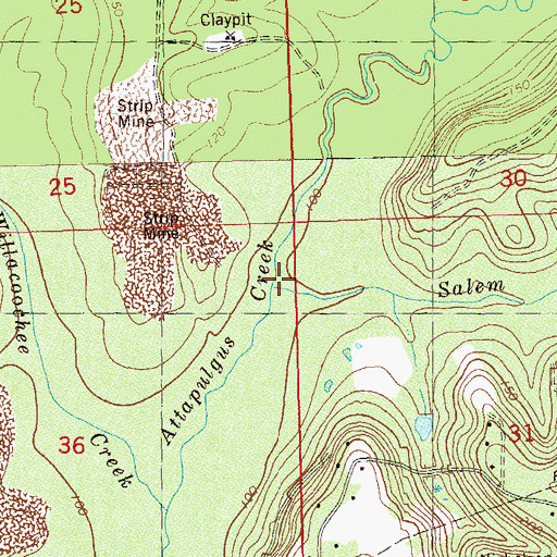 Topographic Map of Salem Branch, FL