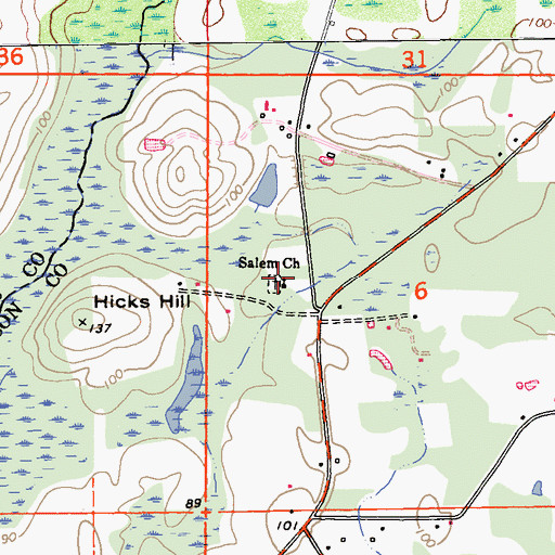 Topographic Map of Salem Church, FL