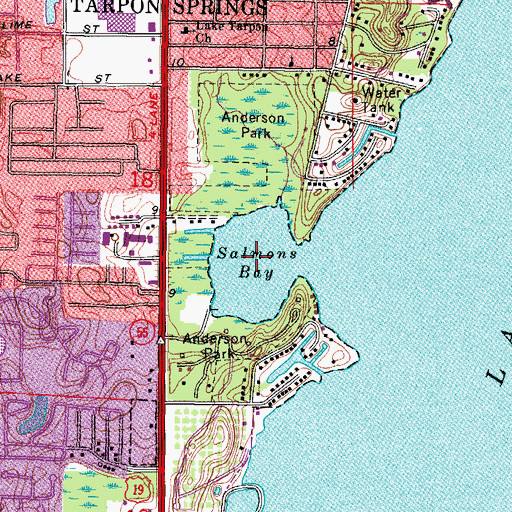 Topographic Map of Salmons Bay, FL