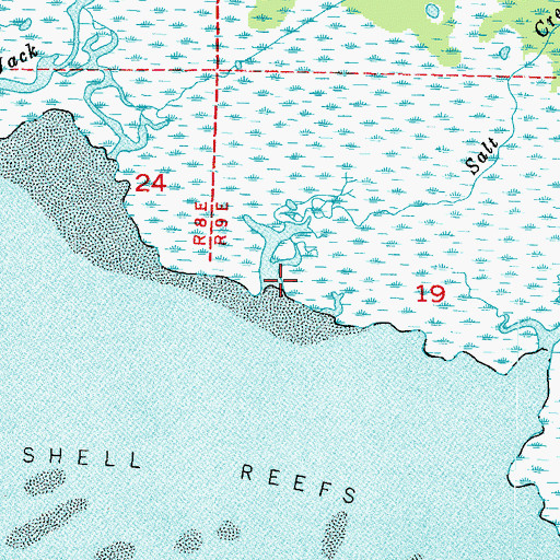 Topographic Map of Salt Creek, FL