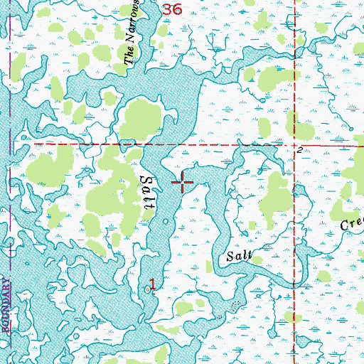 Topographic Map of Salt Creek, FL
