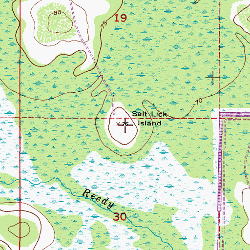 Topographic Map of Salt Lick Island, FL