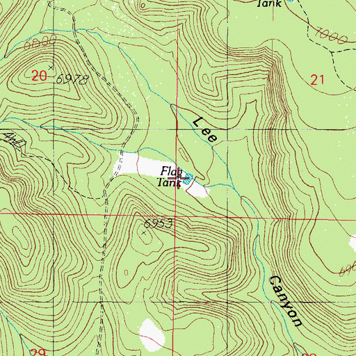 Topographic Map of Flag Tank, AZ